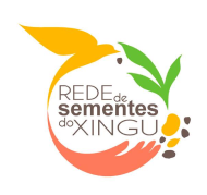 Rede de sementes do Xingu