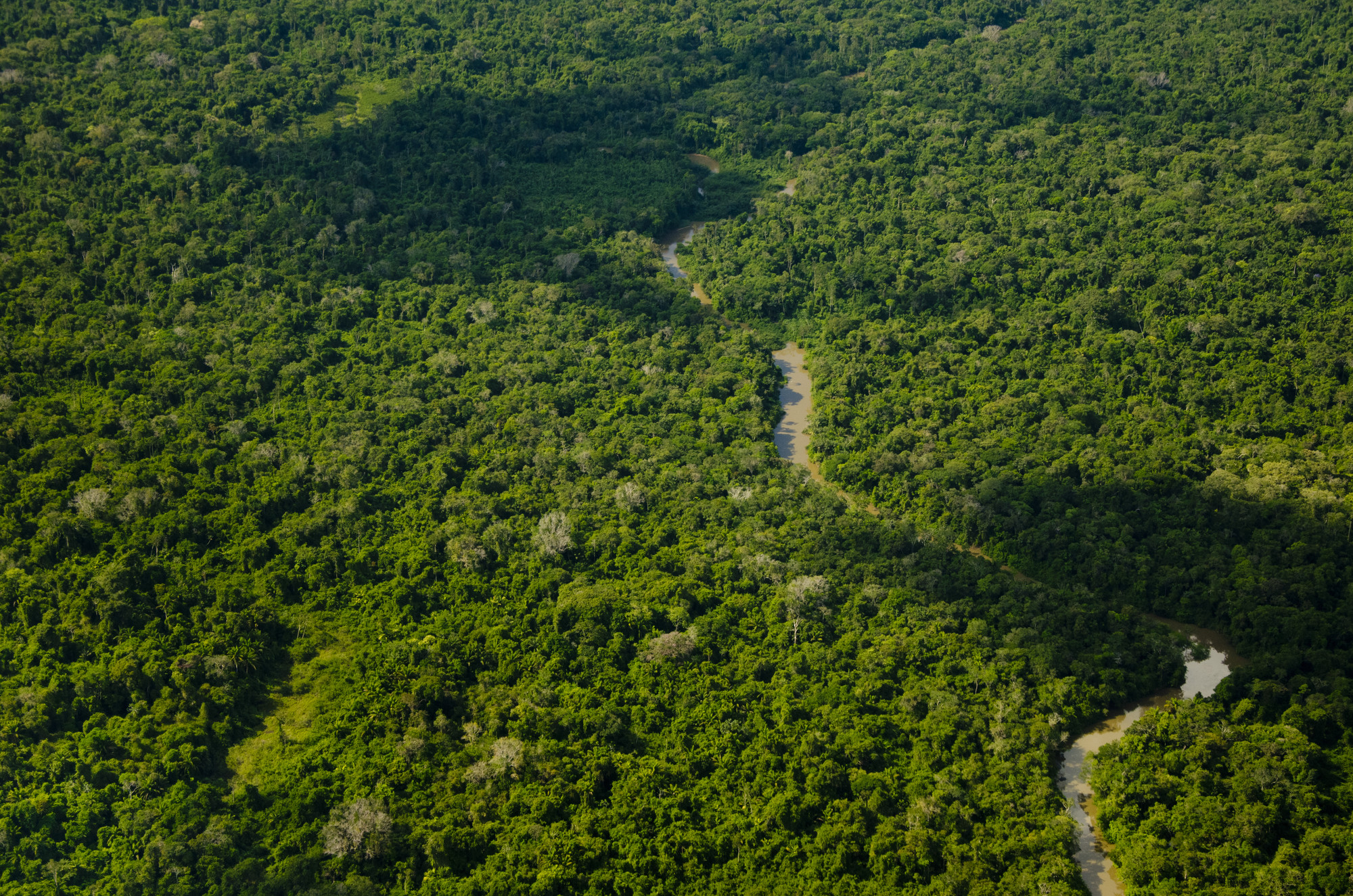 Vista aérea da floresta amazônica no alto rio Catrimani, divisa dos estados de Roraima e Amazonas. A maior reserva indígena da Terra com pouco mais de 10 milhões de hectares @Edson Sato