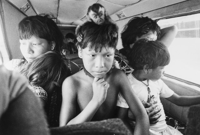 A Volta dos Panará ao Iriri @Pedro Martinelli