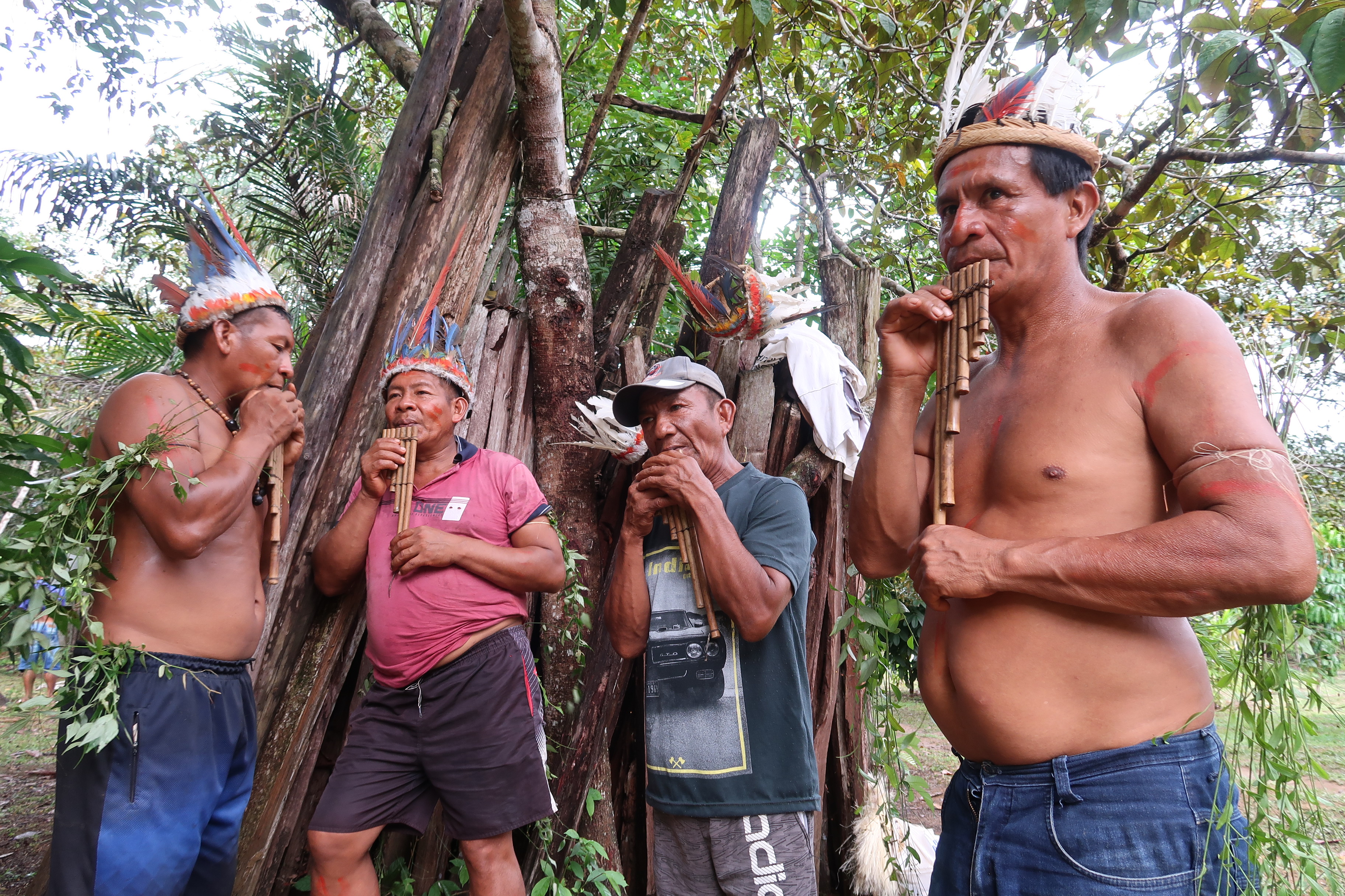Povo Dâw celebrou sua resistência na Terra Indígena Médio Rio Negro II