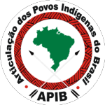 Articulação dos Povos Indígenas do Brasil