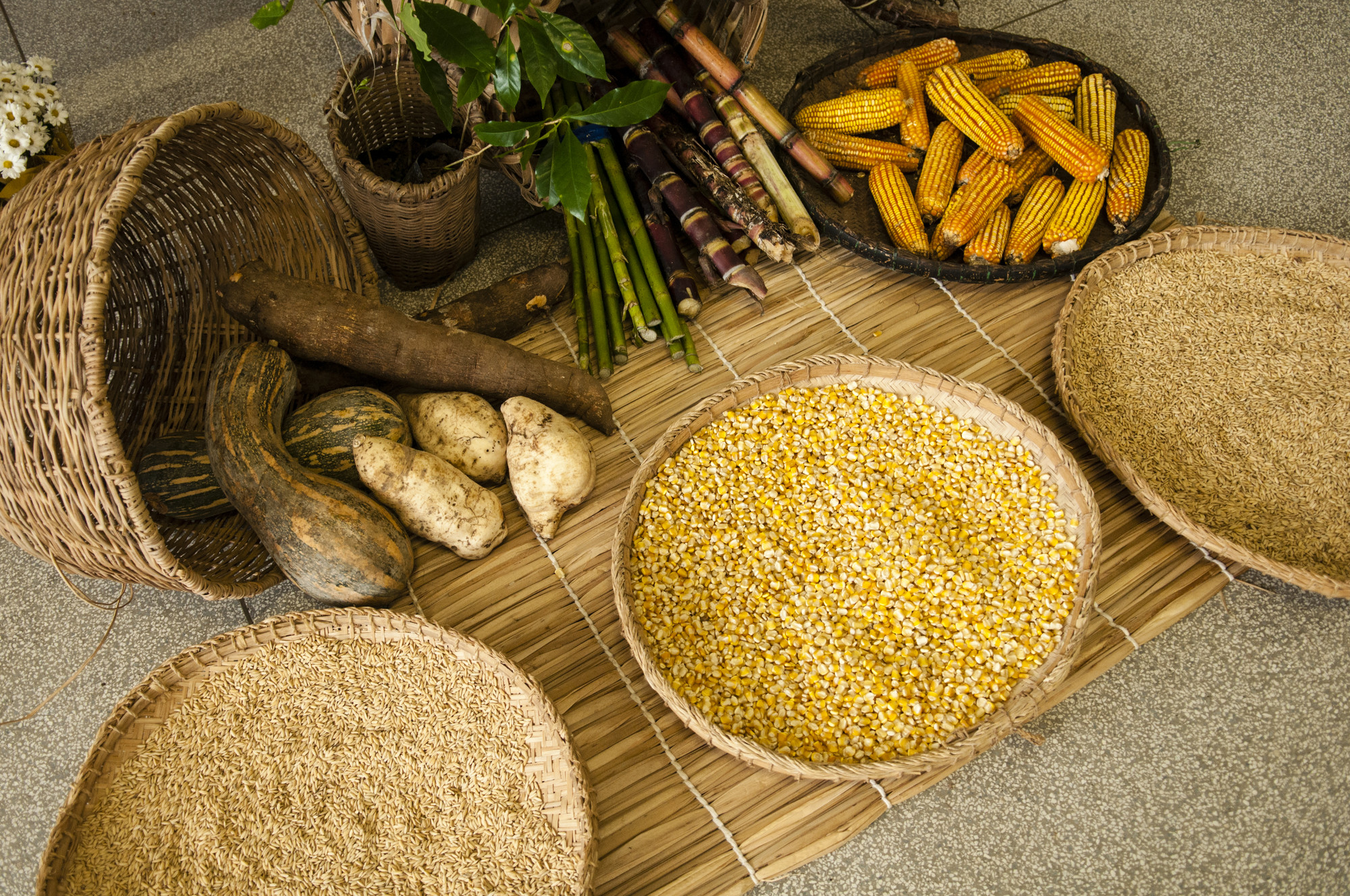 Produtos dos quilombolas usados para decorar o pátio da Escola Estadual Jayme de Almeida Paiva cedido para o debate "10 anos de feira de troca de sementes e mudas tradicionais das comunidades quilombolas do Vale do Ribeira" e "Território e conjuntura"|Claudio Tavares/ISA