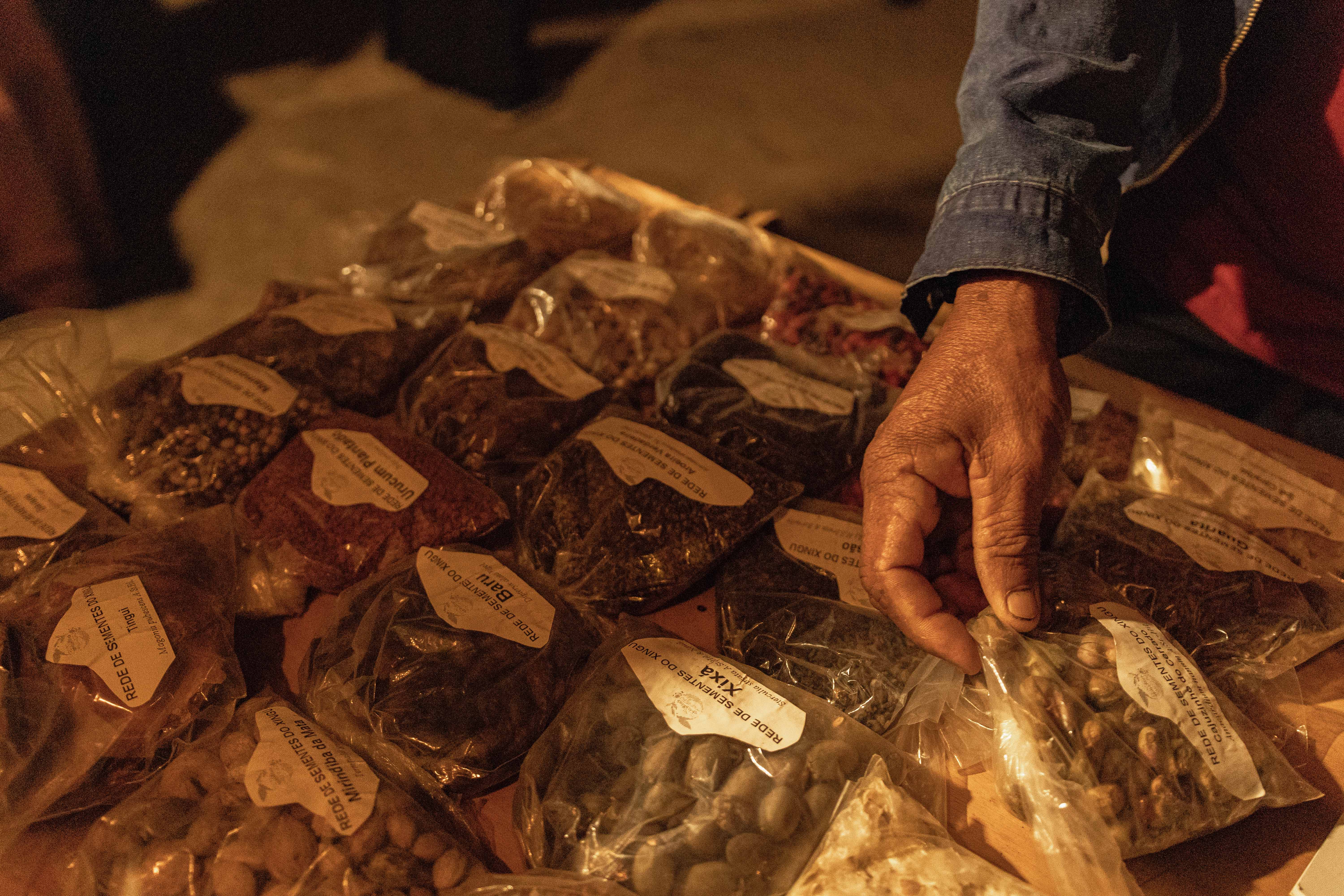 Participante manuseando sementes durante feira de sementes na Aldeia Multiétnica em Alto Paraíso – GO|Webert da Cruz Elias/Redário/ISA