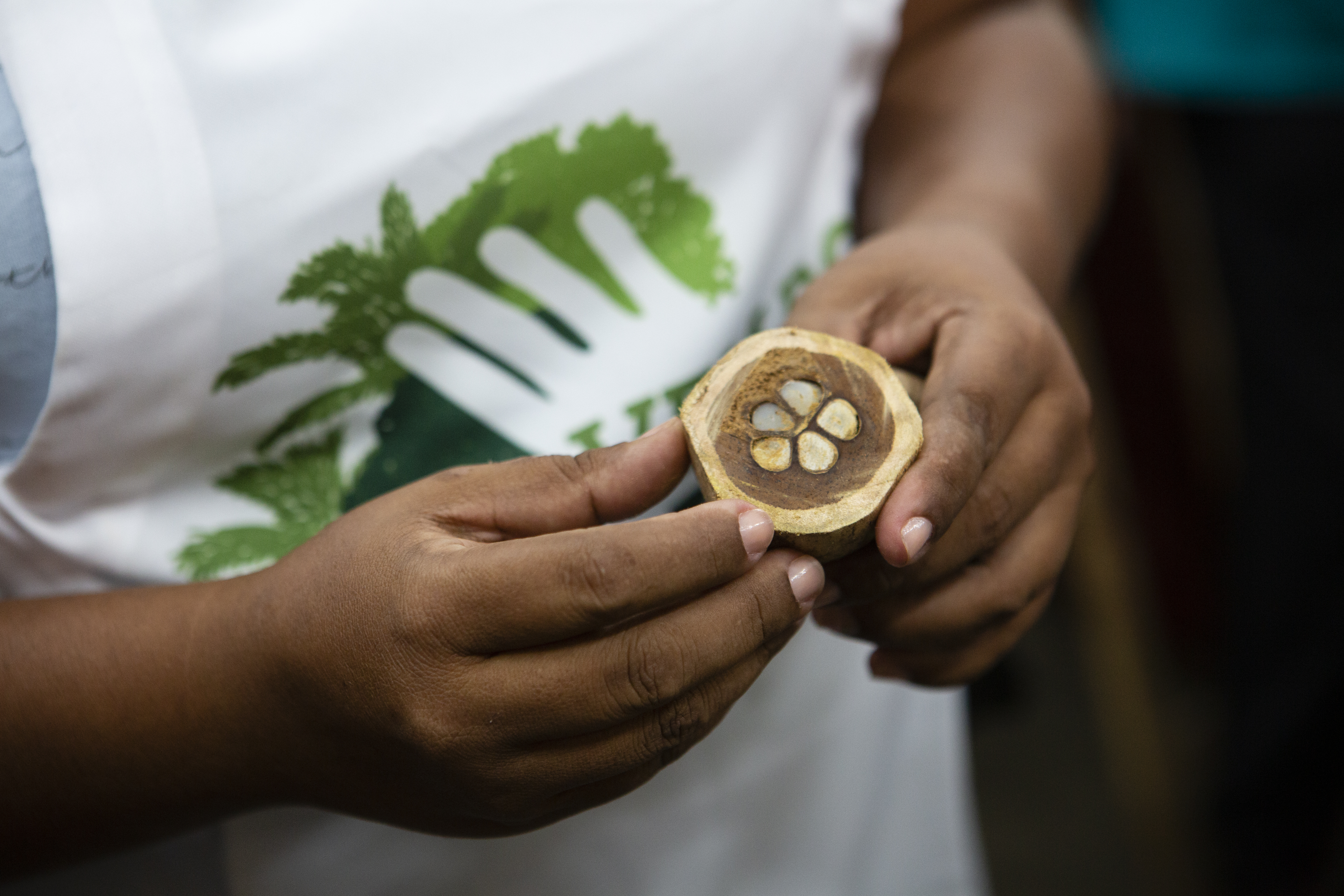 Merendeira de Vitória do Xingu (PA) mostra coco babaçu em oficina|Rafael Hupsel/ISA