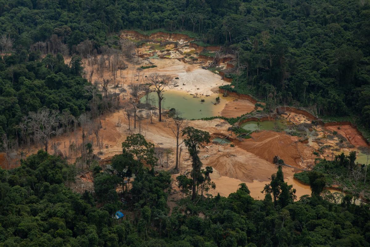 Cratera aberta pelo garimpo na floresta na Terra Indígena Yanomami (RR/AM) | Bruno Kely / ISA