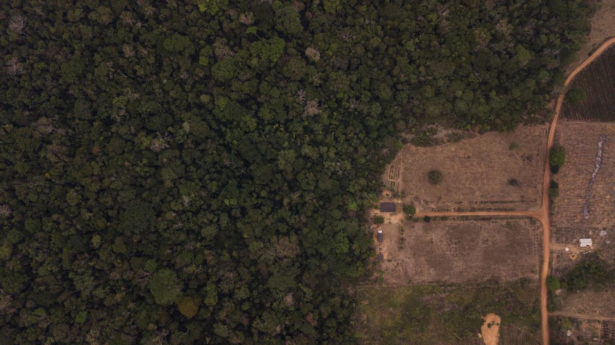 Fronteira da Terra Indígena Uru-Eu-Au-Au (RO) | Bruno Kely / Amazônia Real