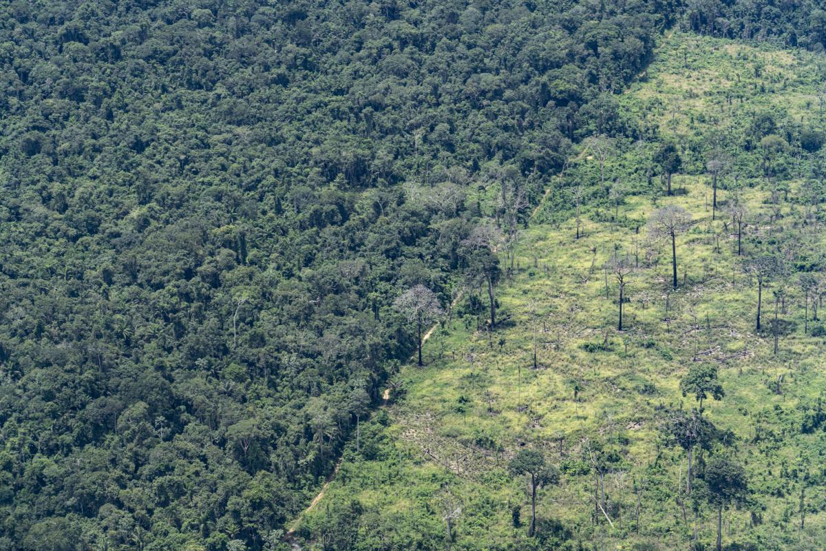 Vista de estrada aberta em sobrevoo pelas TIs Apyterewa e Cachoeira Seca