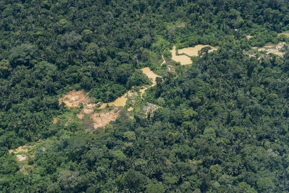 Indígenas Parakanã sofrem ataques de grileiros em aldeias no Pará