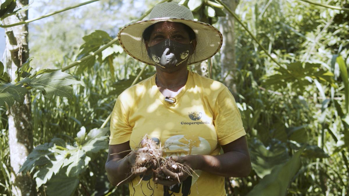 Fartura na pandemia: minidoc mostra como quilombolas do Vale do Ribeira (SP) começaram a alimentar comunidades vulneráveis