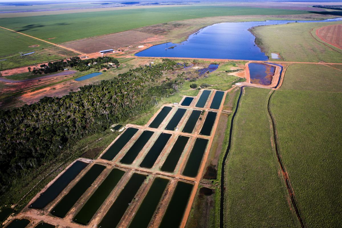 Represa e reservatórios construídos em APP em propriedade do Mato Grosso | Tom Koene