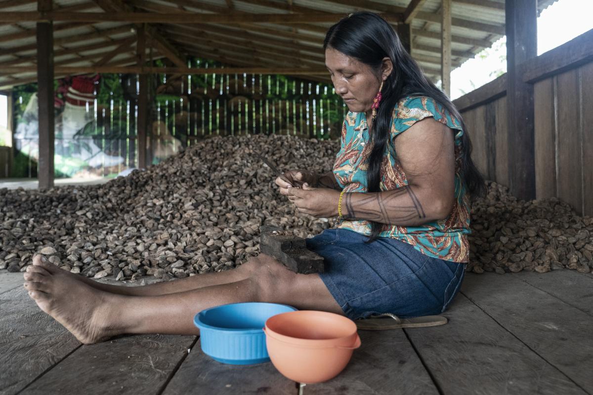 mulheres indígena wai wai