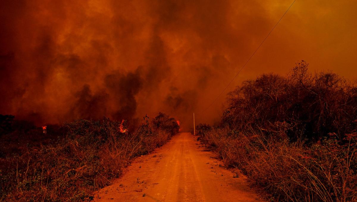 incêndio no pantanal