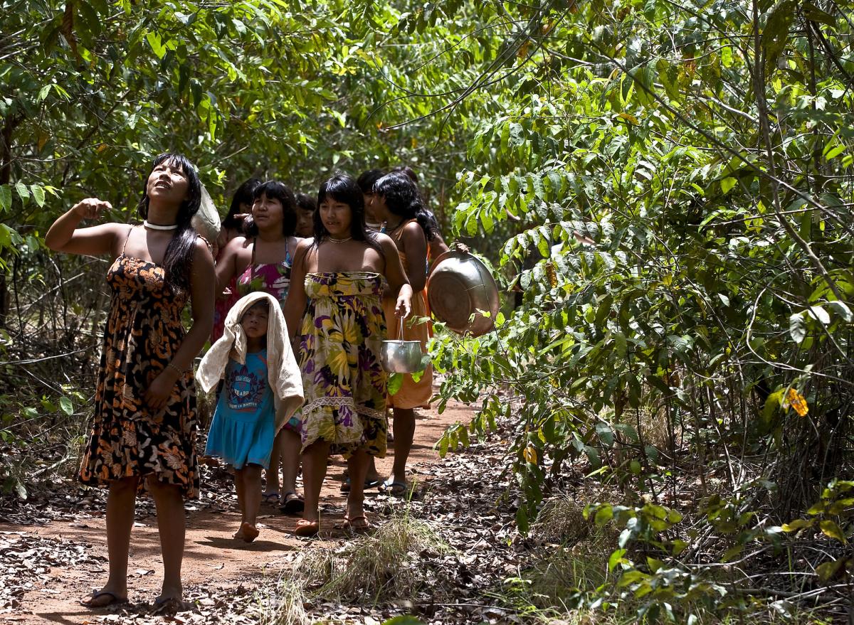 Mulheres e crianças em trilha dentro da floresta que cerca a aldeia Ikpeng, à procura de árvores com sementes
