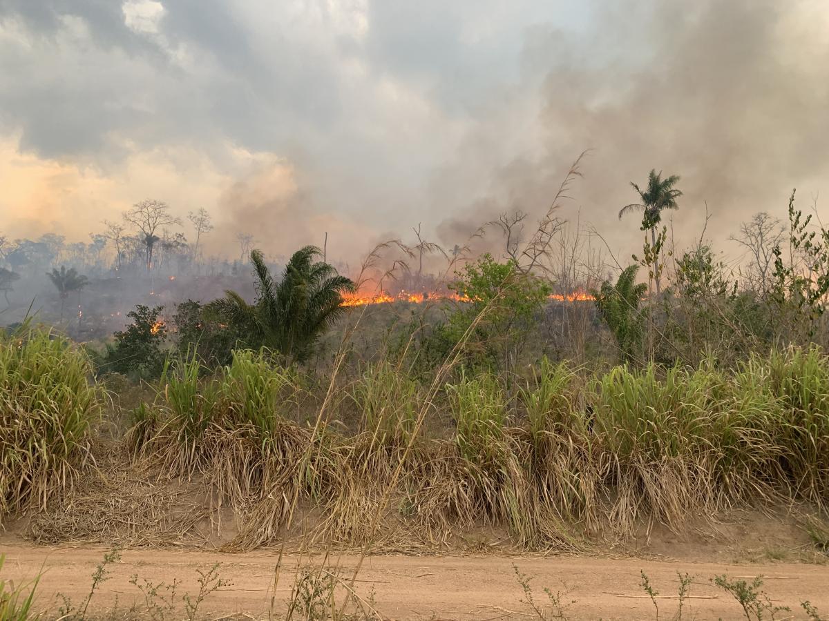 Queimadas na Terra Indígena Kayapó