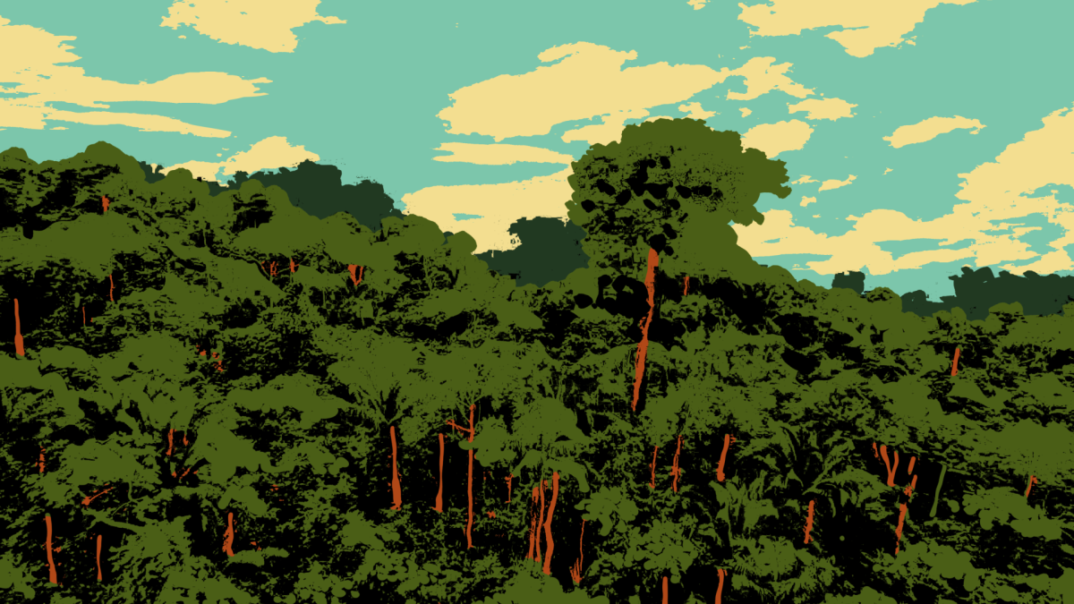 florestas