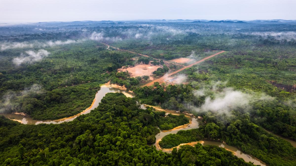Floresta preservada em torno da aldeia Nãsepotiti, Terra Indígena Panará