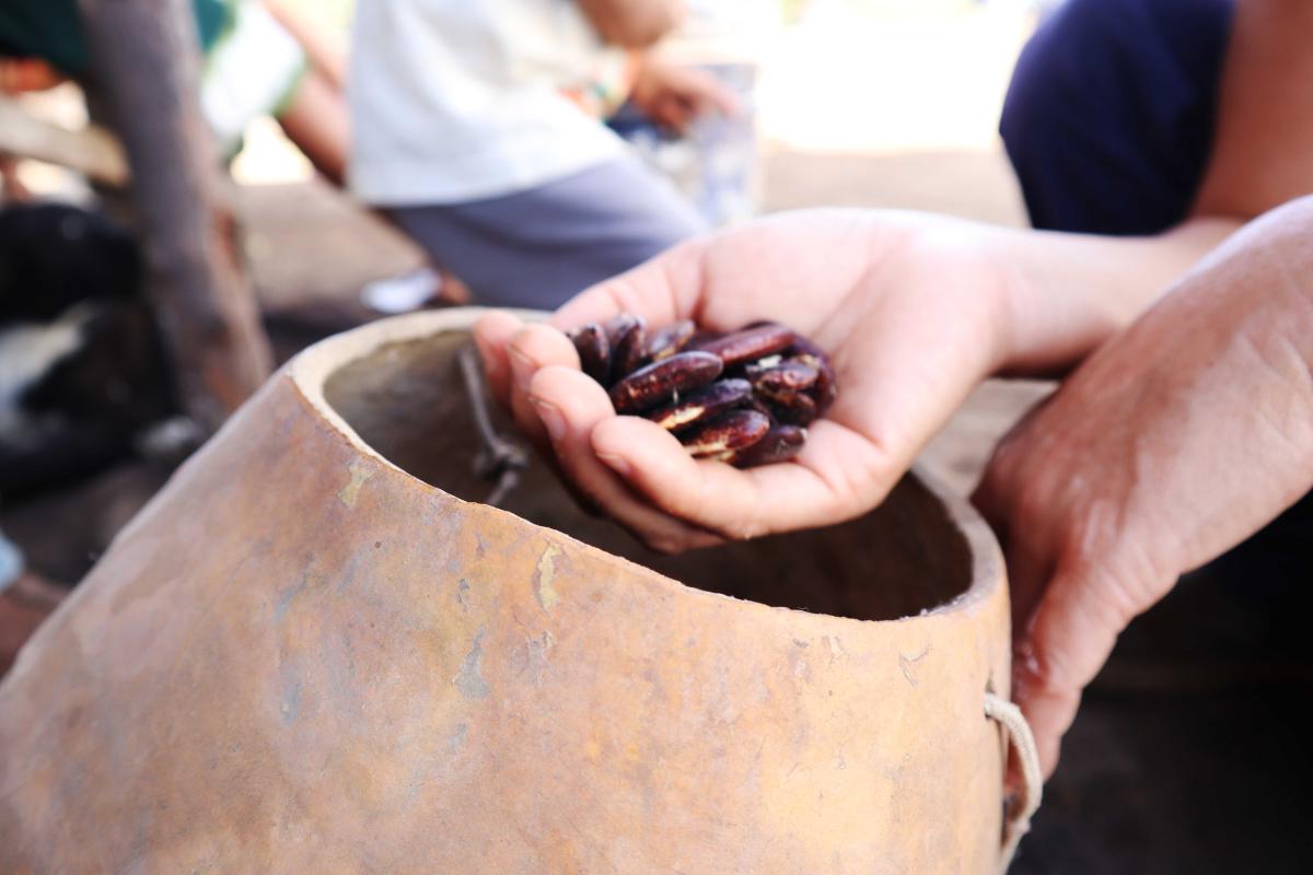 Fundo capilariza recursos e fortalece povos do Território Indígena do Xingu