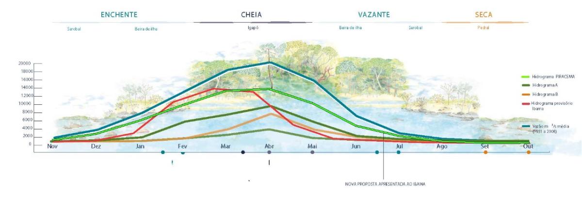 Gráfico com os níveis de água em quatro hidrogramas diferentes para a Volta Grande do Xingu