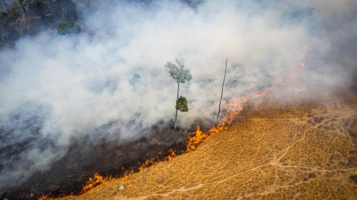 Focos de incêndio ao longo da vicinal Paraná, via de acesso à Terra Indígena Bau, do povo Kayapó|Cícero Pedrosa Neto/Amazônia Real