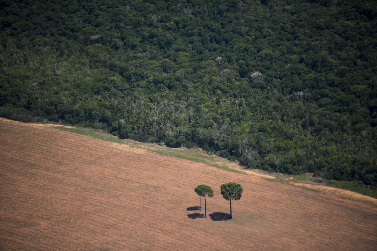 Desmatamento no Mato Grosso | André Villas-Bôas / ISA