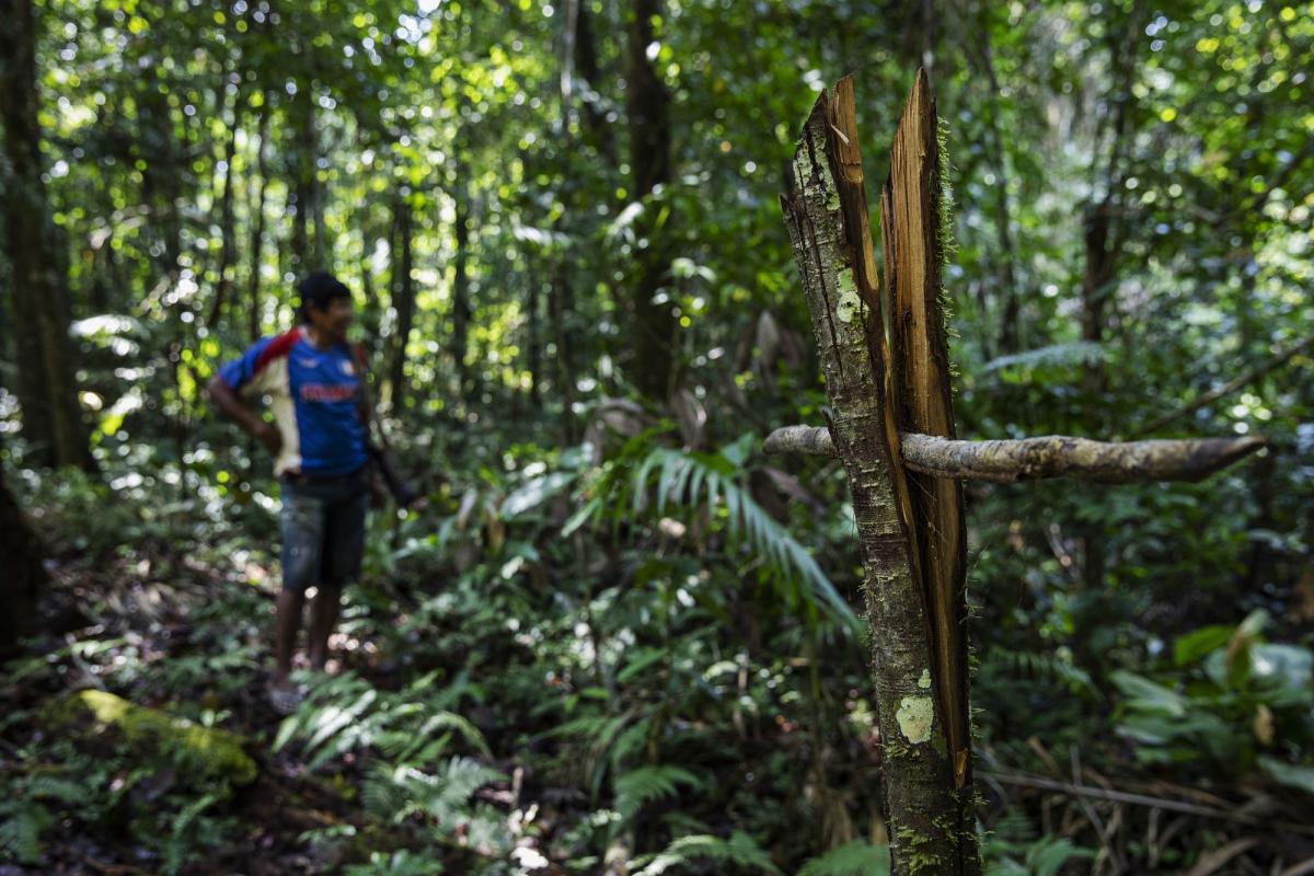 Um guerreiro Xikrin observa um sinal de demarcação deixado por grileiros dentro da Terra Indígena Trincheira Bacajá|Lalo de Almeida