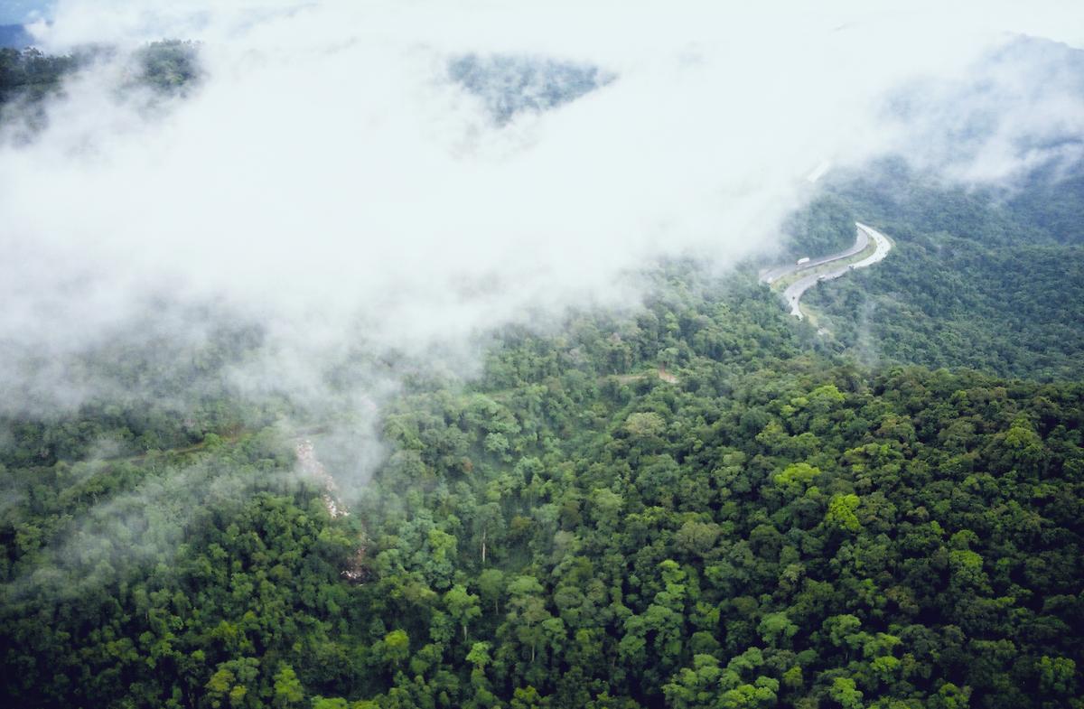 Área de Proteção Ambiental do Sistema Cantareira, que abastece a cidade de São Paulo | Iatã Cannabrava / ISA