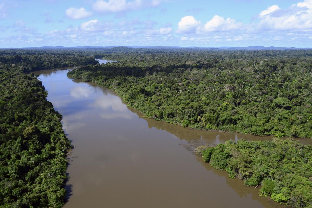 Floresta Nacional do Jamanxim (PA) | Vinícius Mendonça / Ascom Ibama