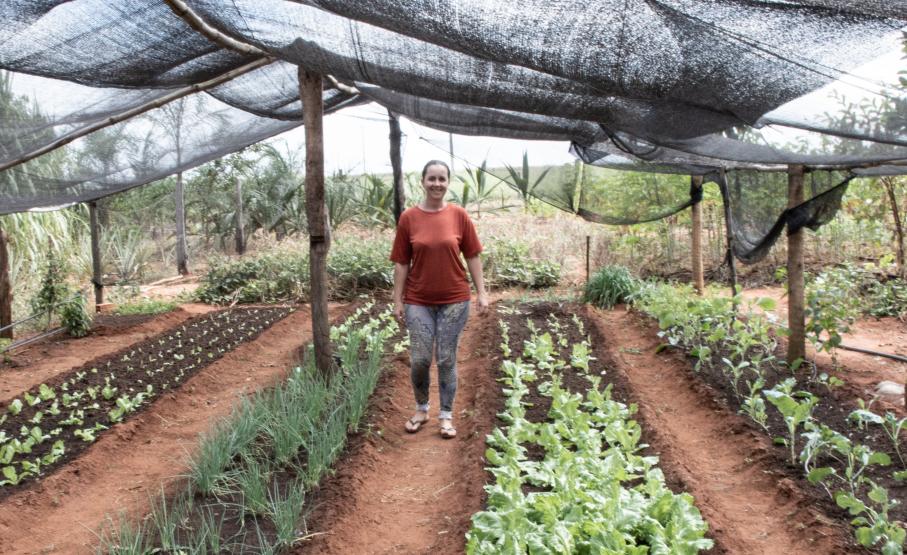No Xingu e Araguaia (MT), pequenos agricultores unem restauração de florestas e cultivo de alimentos 