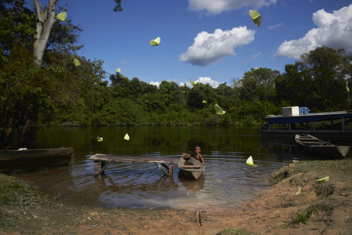 No Xingu, a economia do futuro fica a dois dias de barco, subindo o rio
