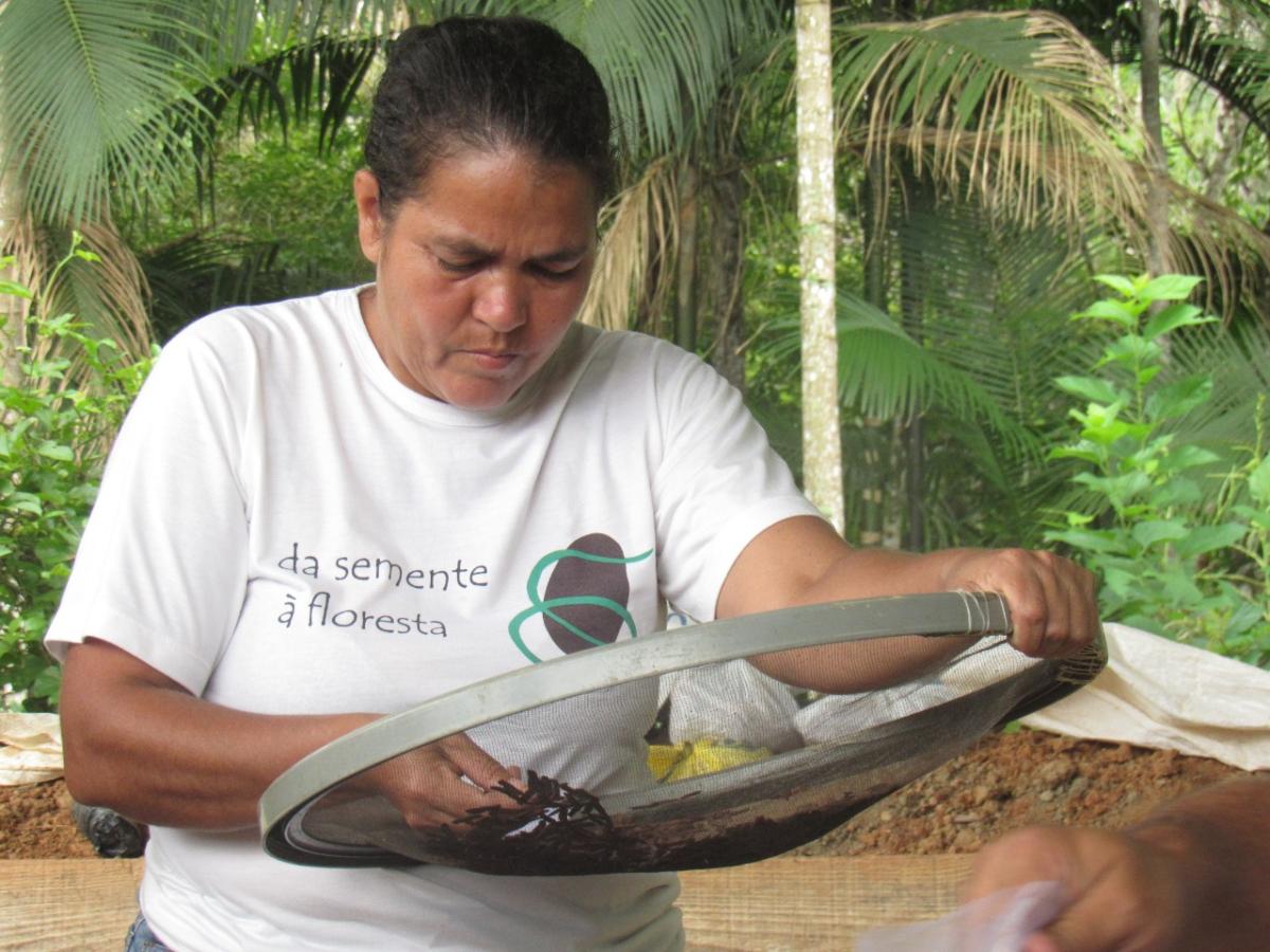 Maria Tereza Vieira, do Quilombo Nhunguara, beneficia sementes florestais|Bianca Lanu