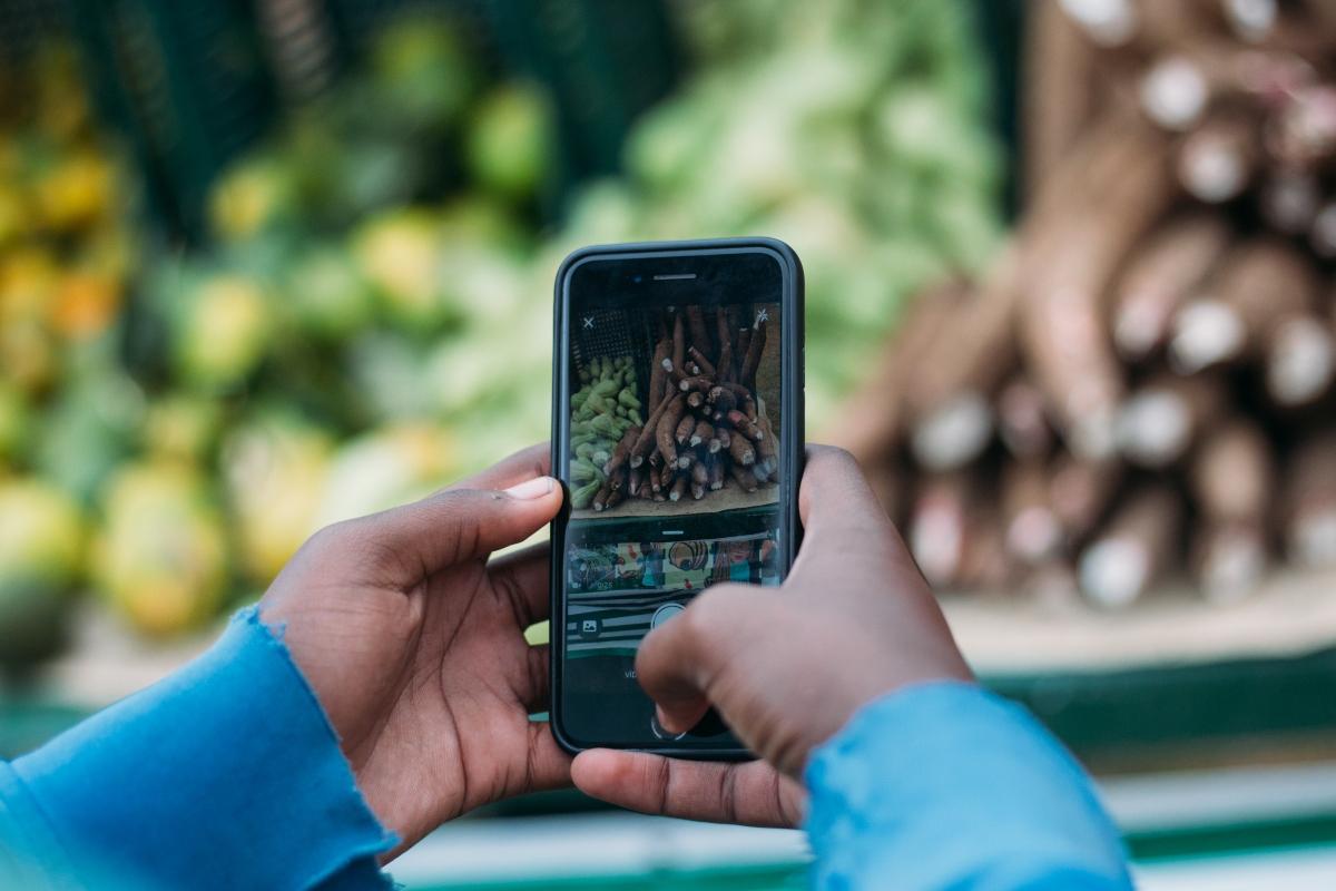 Feira Quilombo&Quebrada comercializa variedades típicas da Mata Atlântica