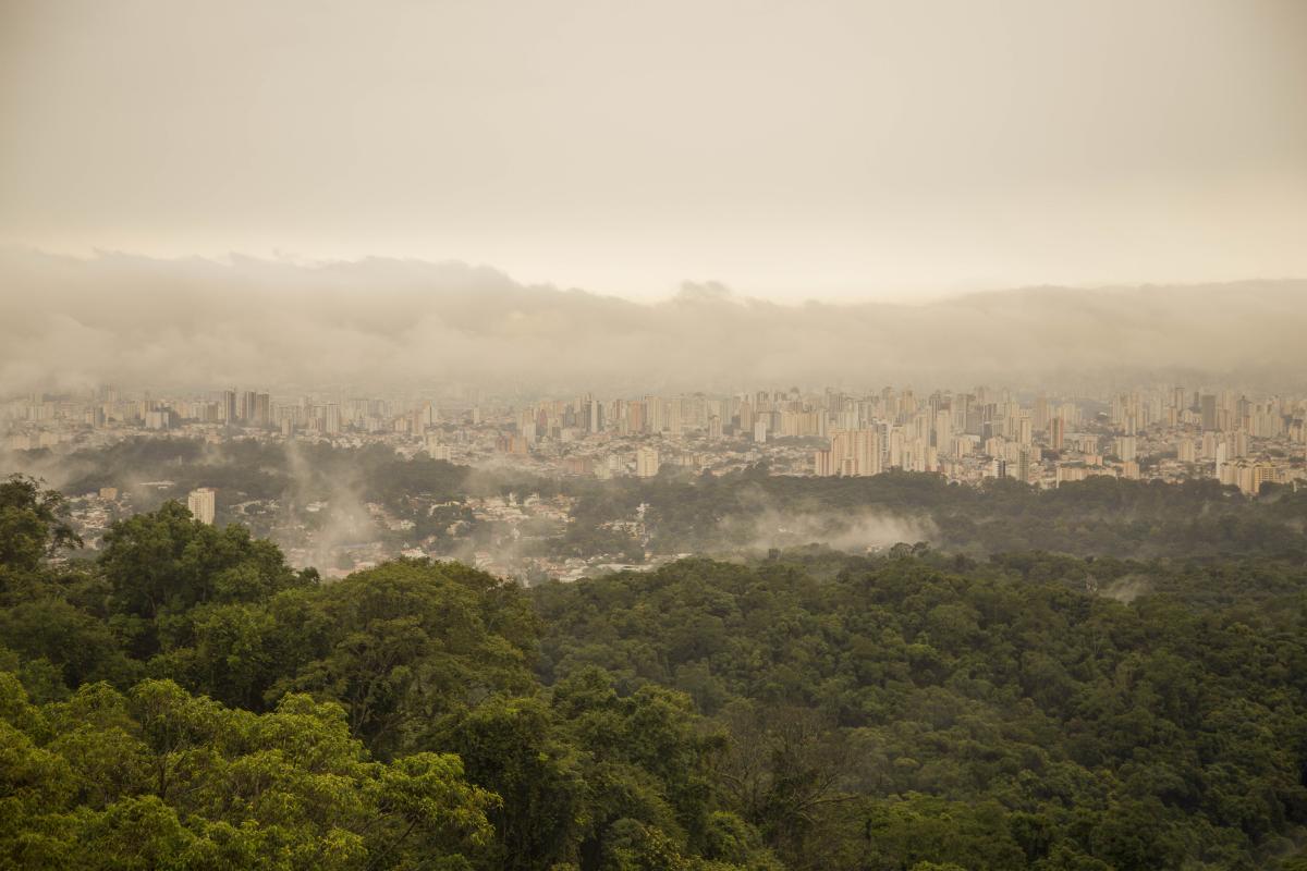 Parque Estadual da Cantareira (SP), área de Mata Atlântica, bioma mais ameaçado do país | © Marcos Leone / ICLEI América do Sul