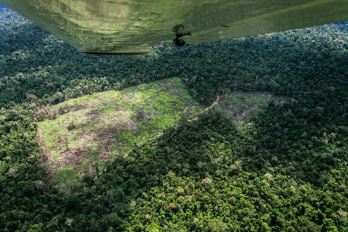 Desmatamento na Terra Ituna Itatá