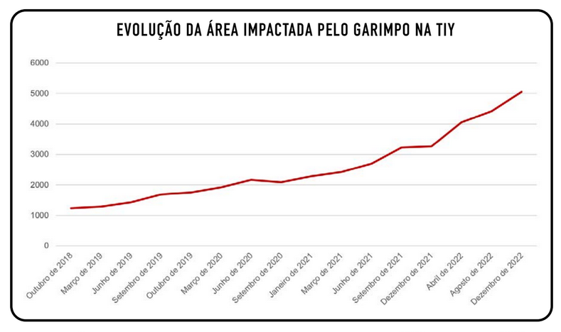 desmatamento