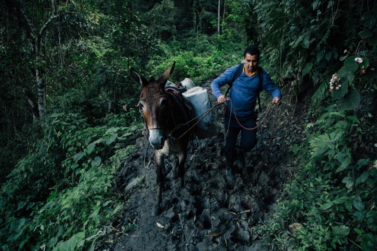 Em trecho de atoleiro, moradores precisam descer os doentes dos burros que realizam o transporte pela trilha de acesso ao Quilombo Bombas