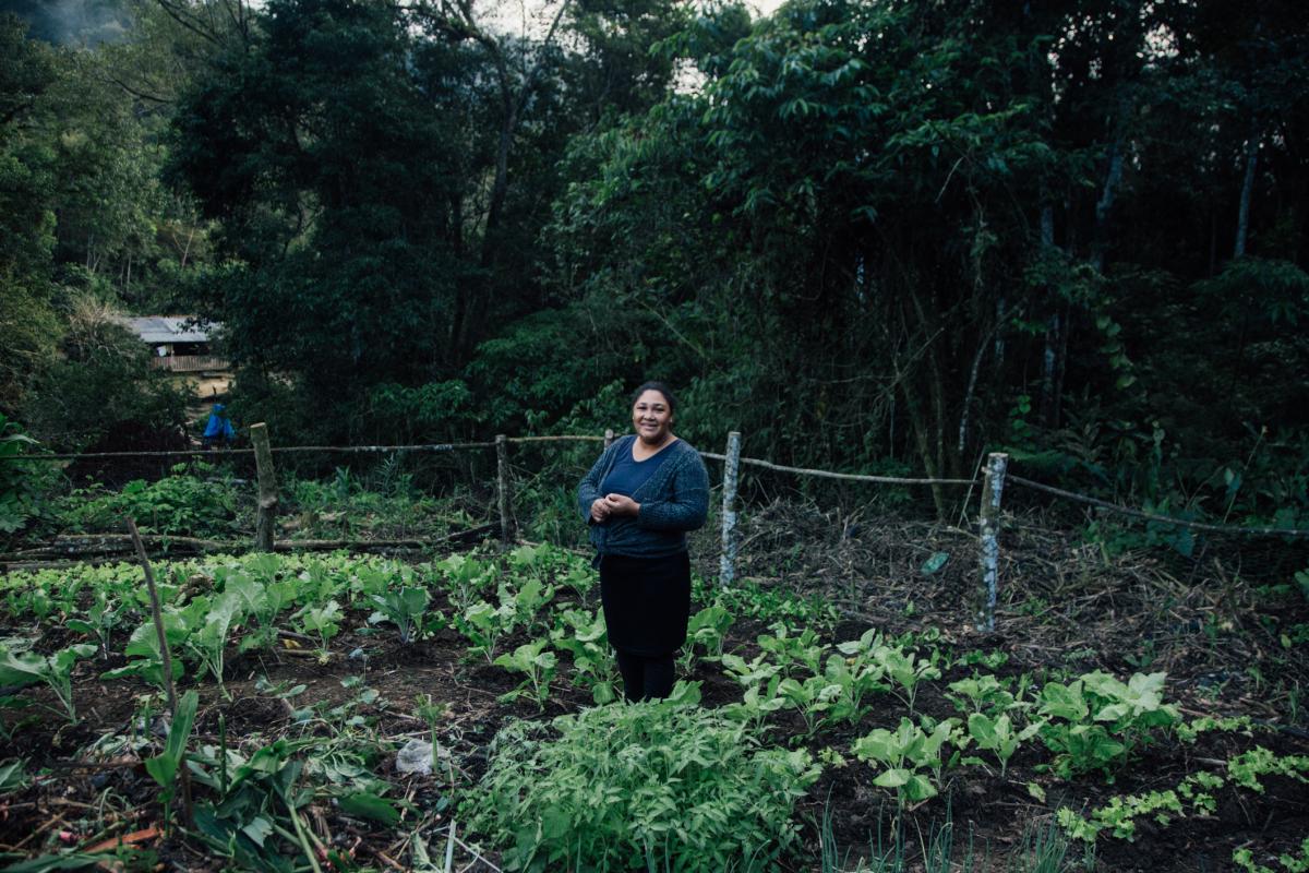 Elza Ursulino, esposa de Edmilson Furquim, cultiva hortaliças no Quilombo Bombas