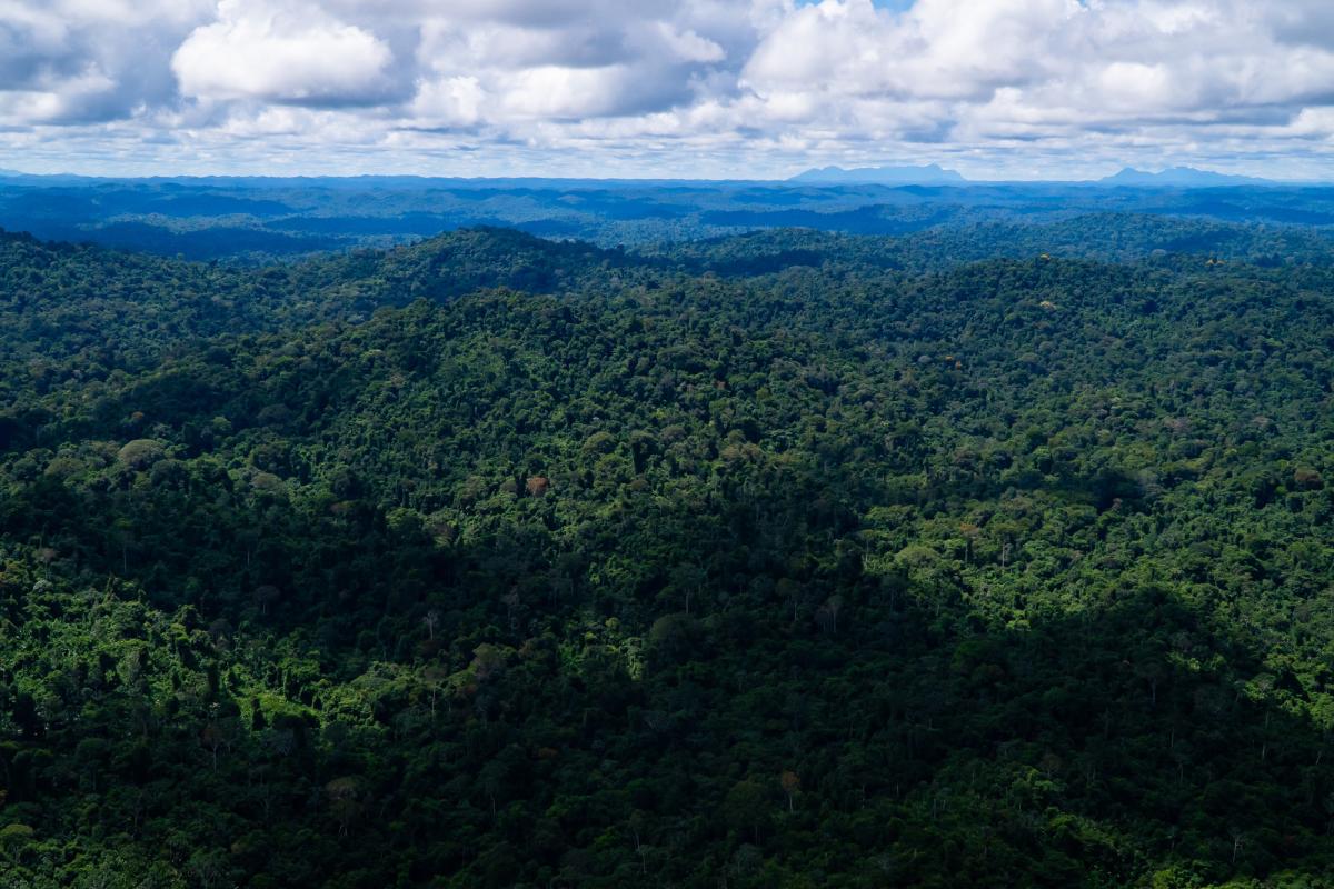 Sobrevôo na Terra Indígena Yanomami 