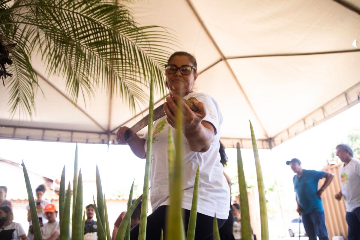 Vera, mãe de Milene, é coletora urbana desde 2012 no grupo misto de Nova Xavantina, no qual entrega cerca de 600kg de semente por ano