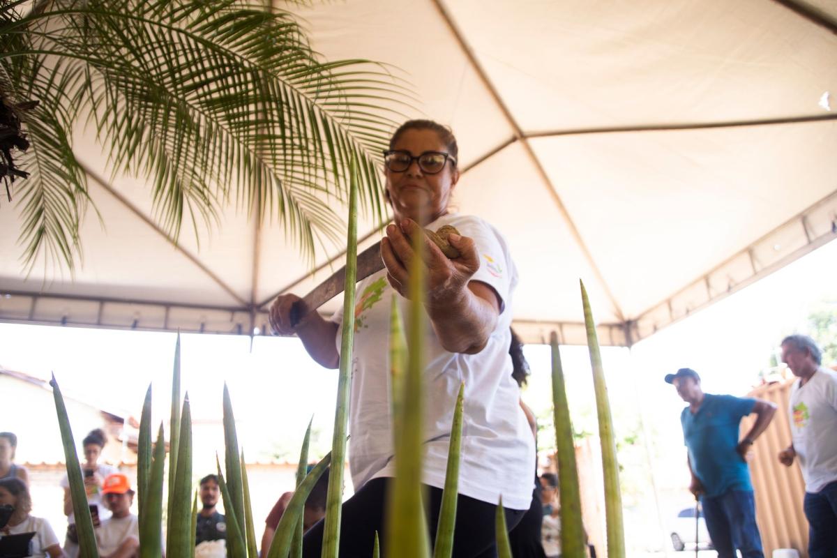 Vera, mãe de Milene, é coletora urbana desde 2012 no grupo misto de  Nova Xavantina, no qual entrega cerca de 600kg de semente por ano