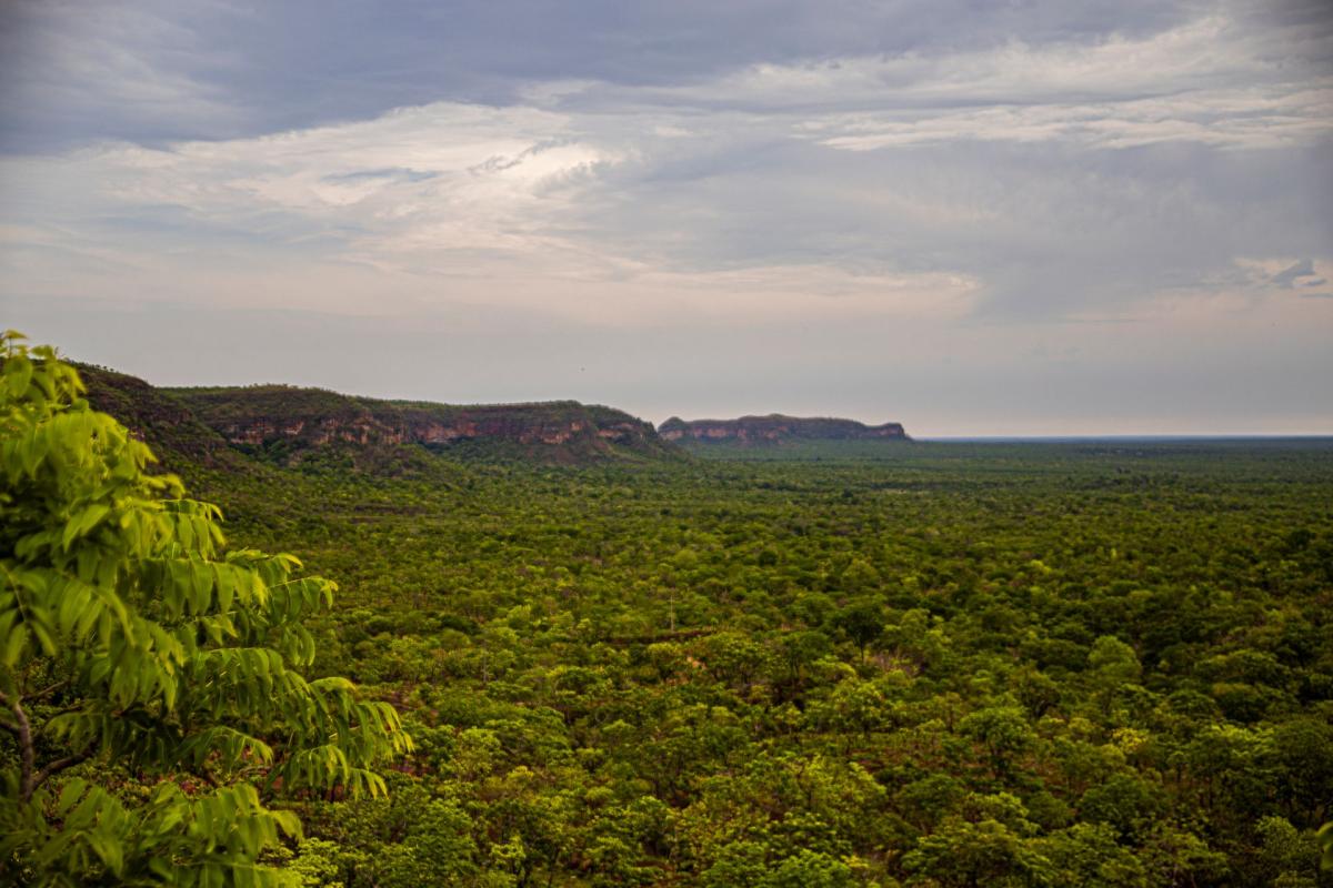 Com uma área de 329 mil hectares, a Terra Indígena Pimentel Barbosa está sob os pés da Serra do Roncador