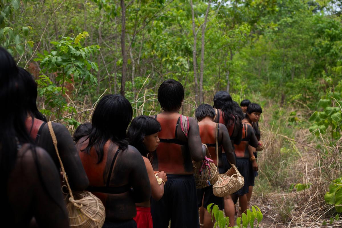 A programação na aldeia Ripá incluiu uma caminhada pela mata com as coletoras de sementes, que marcharam à frente,  junto ao cacique José