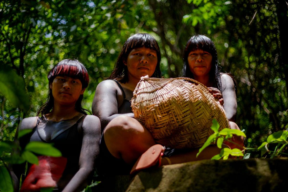 4ª Expedição da Restauração Ecológica percorre o caminho das sementes da Rede de Sementes do Xingu
