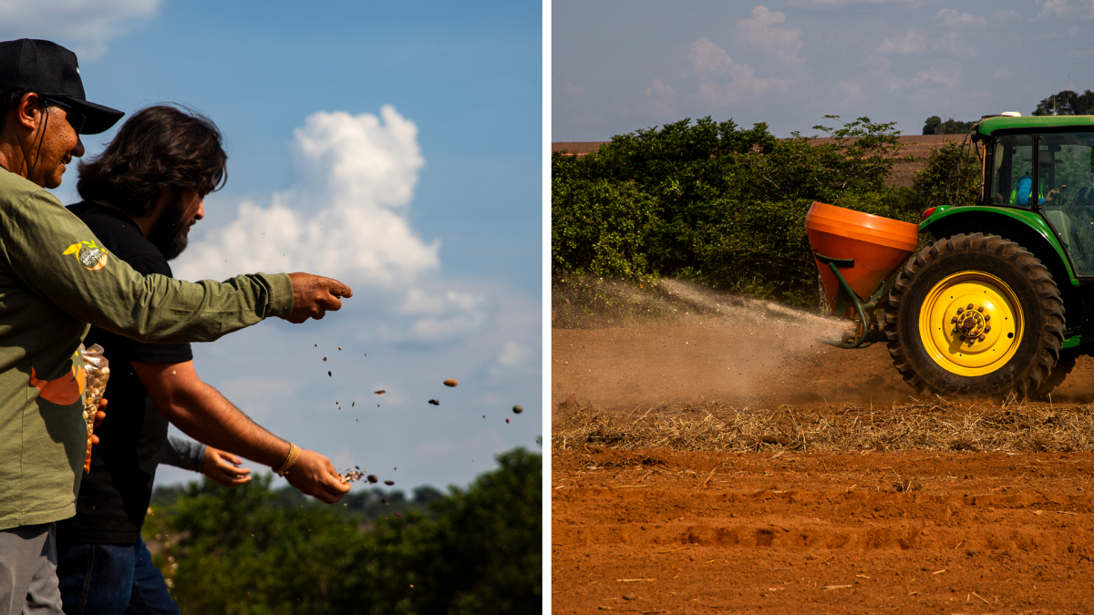 O plantio foi feito de forma manual a lanço e com implementos agrícolas para demonstrar aos participantes que na hora de semear uma muvuca, é possível usar o que estiver à disposição