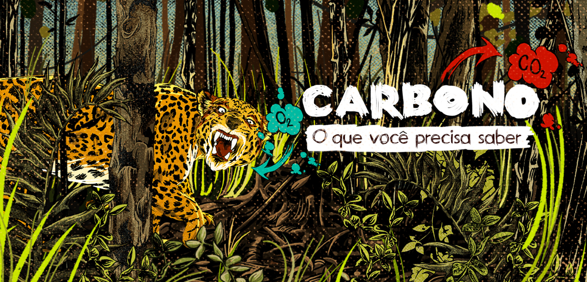Rede Xingu+ lança série de animações &#039;Carbono: o que você precisa saber&#039;