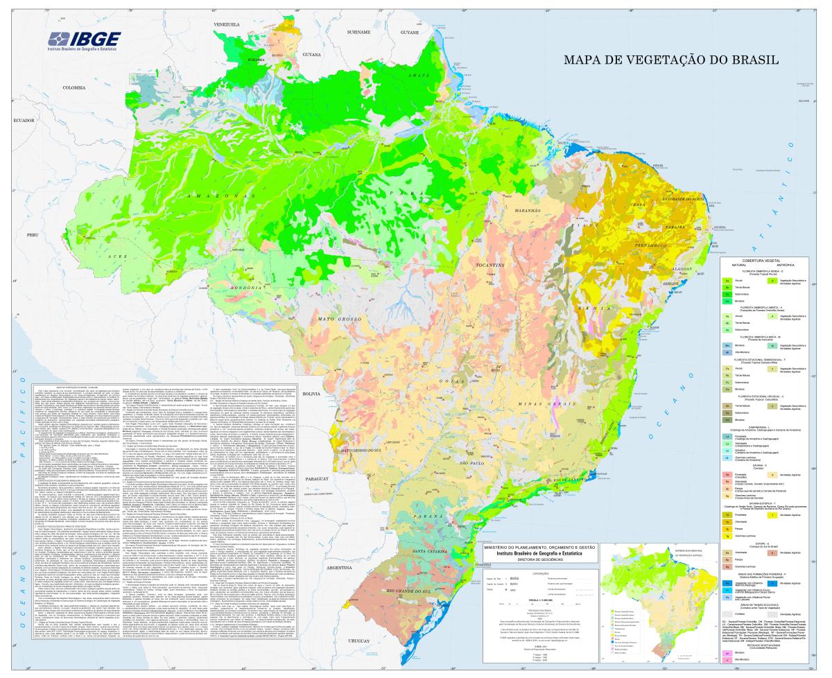 Mapa de fitofisionomias do Brasil | IBGE