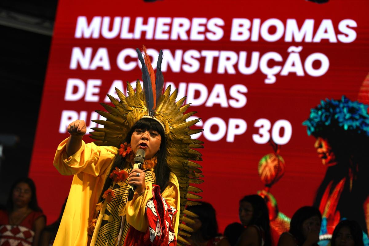 célia xakriabá, deputada federal