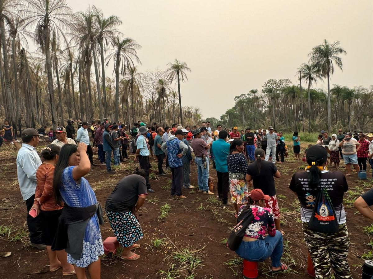 No dia 26/9, indígenas levaram comitiva de com representantes de órgãos oficiais ao local onde Neri Ramos da Silva foi assassinado | Renato Santana / Cimi