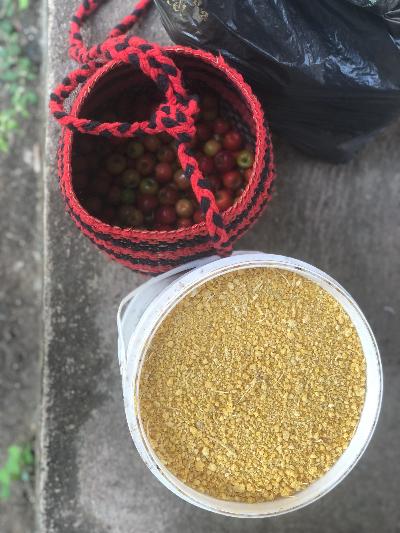 riqueza das roças