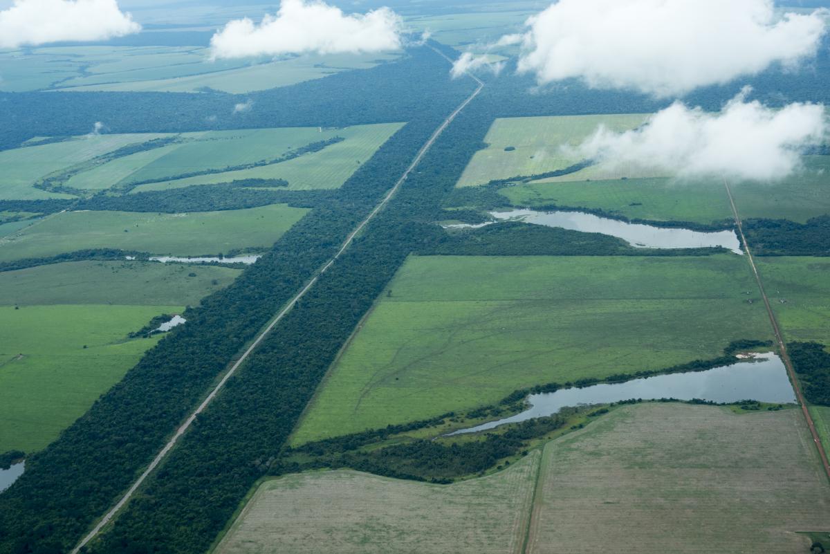 Organizações indígenas cobram escuta e regras ambientais na pavimentação da MT-322