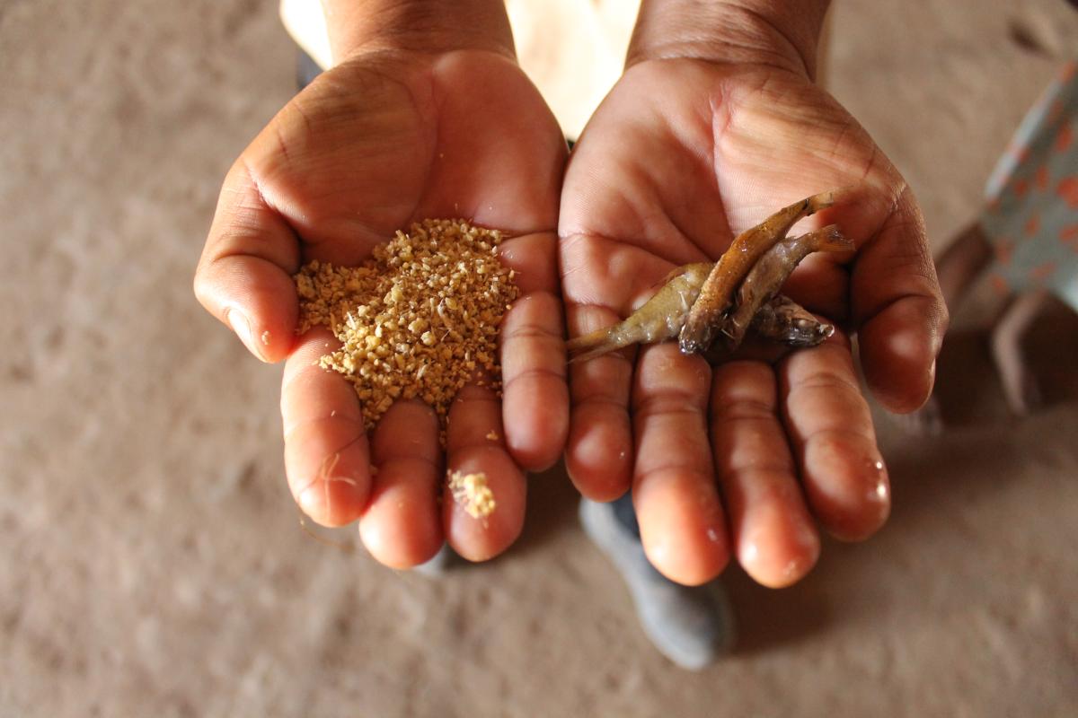 Alimentação tradicional nas escolas de Mato Grosso gera renda e fortalece cultura, saúde e meio ambiente